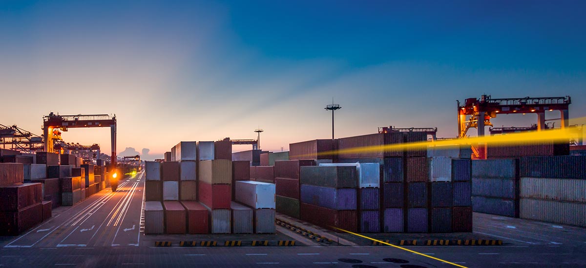 Container for transport by ship at the port | LGI